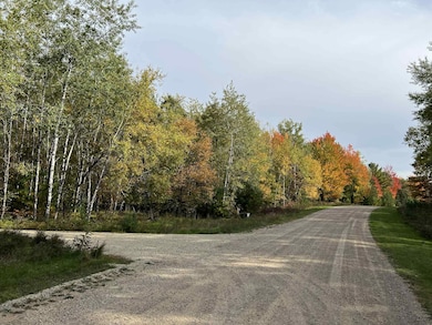 0 Crystal Rapids Rd unit 50312744, Wausaukee, WI 54177 - photo 7