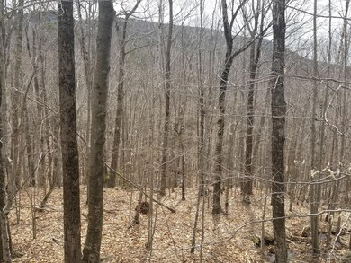 0 Gillette Rd unit 1439851, Camden, ME 04847 - photo 2