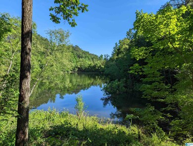 0 Cornerstone Dr unit 26 1320830, Calera, AL 35040 - photo 6