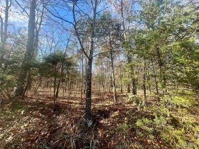 0 Mimeaux unit MIS25077788, Bonne Terre, MO 63628 - photo 3