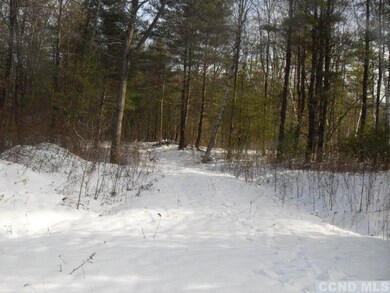 3 Hawthorne Hill Rd, New Lebanon, NY 12125 - photo 3