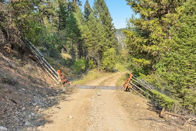 6300 Camas Creek Rd, Potomac, MT 59823 - photo 4