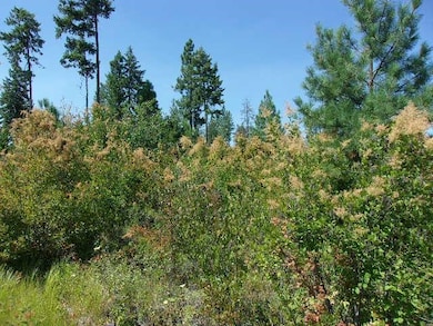 XX Hoag Rd, Valley, WA 99181 - photo 4