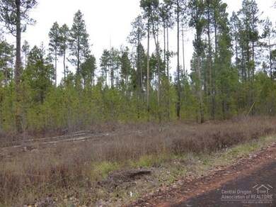 17320 Jacinto, Bend, OR 97707 - photo 4