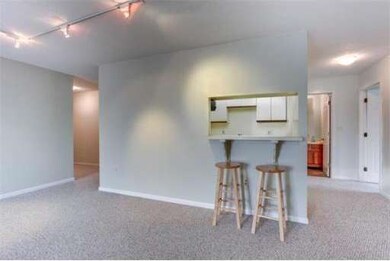 314 Riverside Ave unit 405, Medford, MA 02155 - photo 7