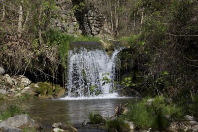 1987 Old Buena Vista Rd, Buena Vista, VA 24416 - photo 4