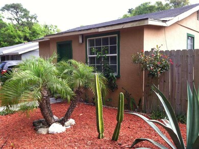 Palms and Cactus