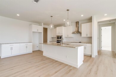 209 Latigo Way, Weatherford, TX 76088 - photo 6