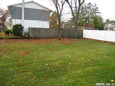 Other Backyard