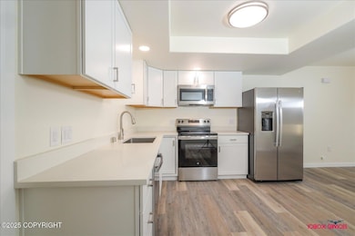 16169 E Smith Rd unit 2, Palmer, AK 99645 - photo 2