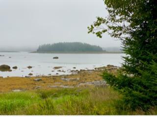 looking out to harbor