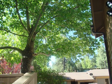 DSC05065