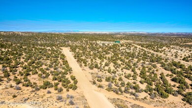 LOT 13 Silver Maple Ct, Farmington, NM 87402 - photo 6