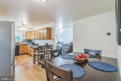 109 Walnut Rd, Wallingford, PA 19086 - photo 6