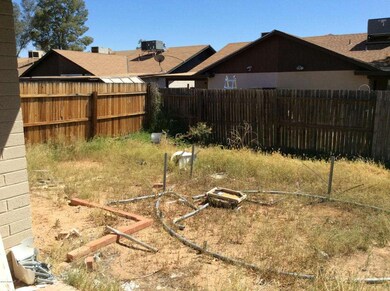 Backyard 1
