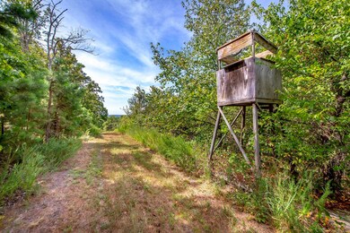 0 Porter Rd unit 25034698, Union Township, AR 72153 - photo 4