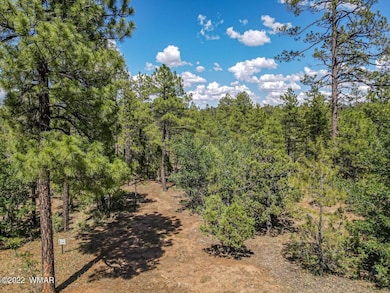 2011 S Sierra Park Trail, Show Low, AZ 85901 - photo 7