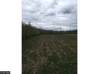 Corn field last spring