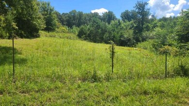 00 Union Grove Rd Lot 2 & 3 Photo 9