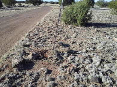 Lot 140 Juniperwood Ranch Unit 4, Ash Fork, AZ 86320 - photo 3