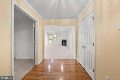 4700 Coyle Rd unit 304, Owings Mills, MD 21117 - photo 4