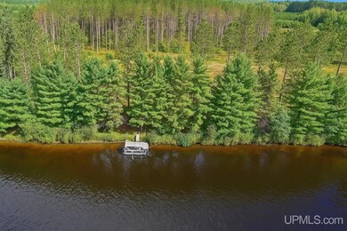 21.33 Acres Butterfield Ln, Pembine T-Wi, WI 54156 - photo 6