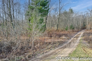 0 Austin Rd unit 25019198, Cedar Creek Township, MI 49457 - photo 3