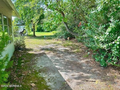 Rear Yard