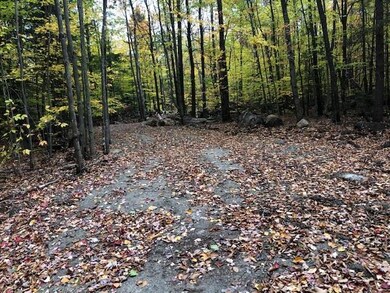 Lot 22-7B Old Pound Rd, Antrim, NH 03440 - photo 6