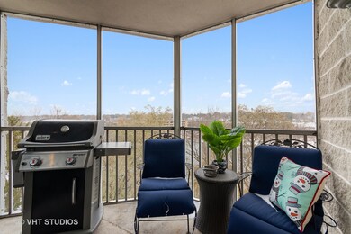 218 N Water St unit 401, Batavia, IL 60510 - photo 4