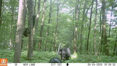 4, 5, 6, 7 Secluded Lake Rd, Newfoundland, PA 18445 - photo 3