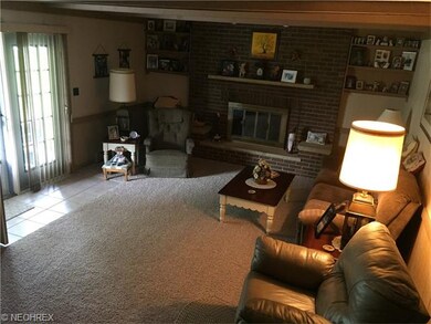 Rec Room, lower level, with gas fireplace