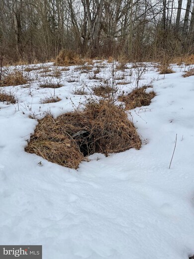 Lot 6 Leisure Way, Shepherdstown, WV 25443 - photo 6