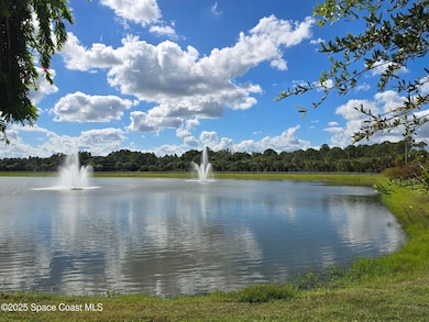 762 Papillon St SW, Palm Bay, FL 32908 - photo 5