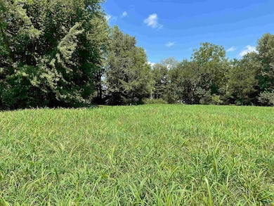 217 E Morgan St, Sedalia, MO 65301 - photo 2