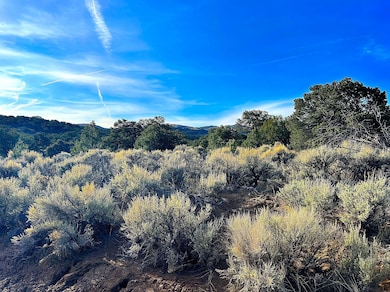 Butcher Rd, Fort Garland, CO 81133 - photo 4