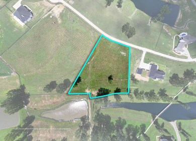 The Reserve County Road 912 unit Lot2, Cullman, AL 35055 - photo 4