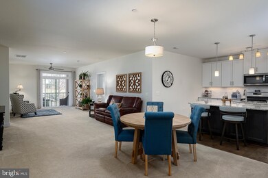 10520 Resort Rd unit 205, Ellicott City, MD 21042 - photo 4
