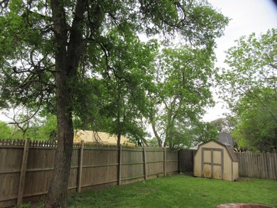 Shaded Backyard
