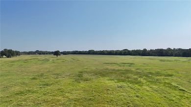 View of local wilderness with a rural view