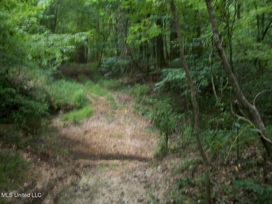 Tbd Oldenburg Rd, Meadville, MS 39653 - photo 6