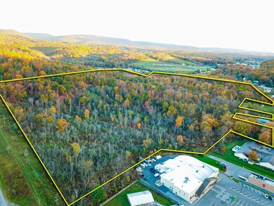 0 E Pleasant Valley Blvd unit LotWP001 19615403, Tyrone, PA 16686 - photo 4