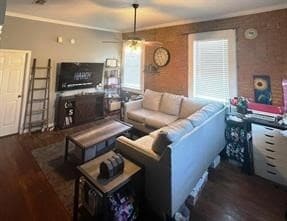 Living room featuring dark wood finished floors and crown molding