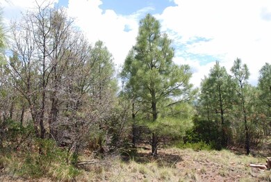 Lot 39 E Antelope Trail unit 39, Payson, AZ 85541 - photo 7