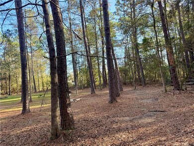 26024 Pineview Dr, Folsom, LA 70446 - photo 7