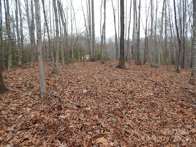 1061 Round Rock Rd unit 56, Johns River, NC 28645 - photo 7