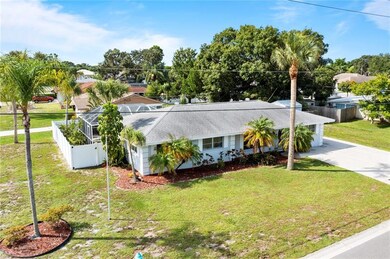 301 Whippoorwil from above