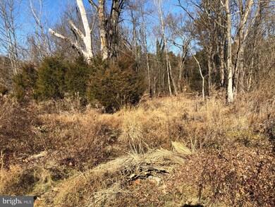 16314 John Marshall Hwy, Broad Run, VA 20137 - photo 5