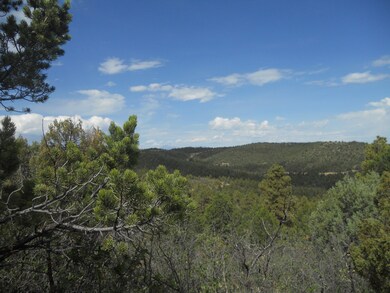 33817 Turkey Creek Ln unit B 67, Trinidad, CO 81082 - photo 5