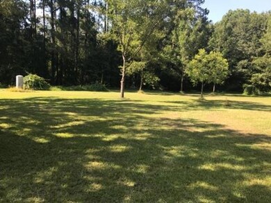 5515 Dixie Rd, Dixie, GA 31629 - photo 2